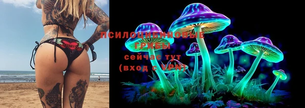 дмт Богданович