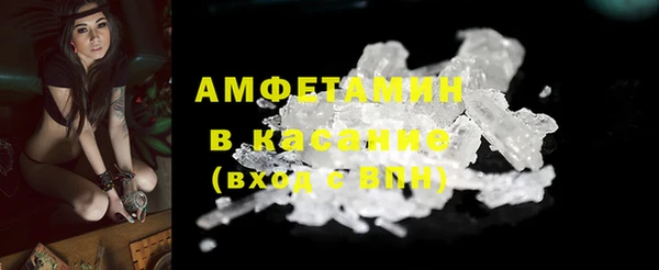индика Гусев