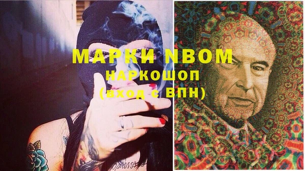 дмт Богданович