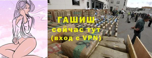 дмт Богданович